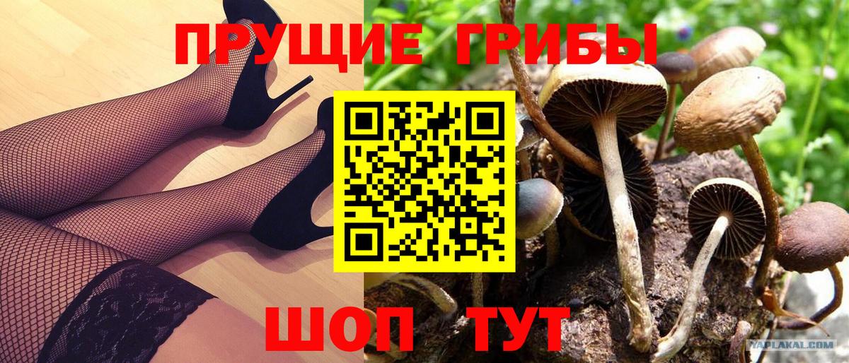 Галлюциногенные грибы мухоморы  Вход с VPN  где продают   Анжеро-Судженск 