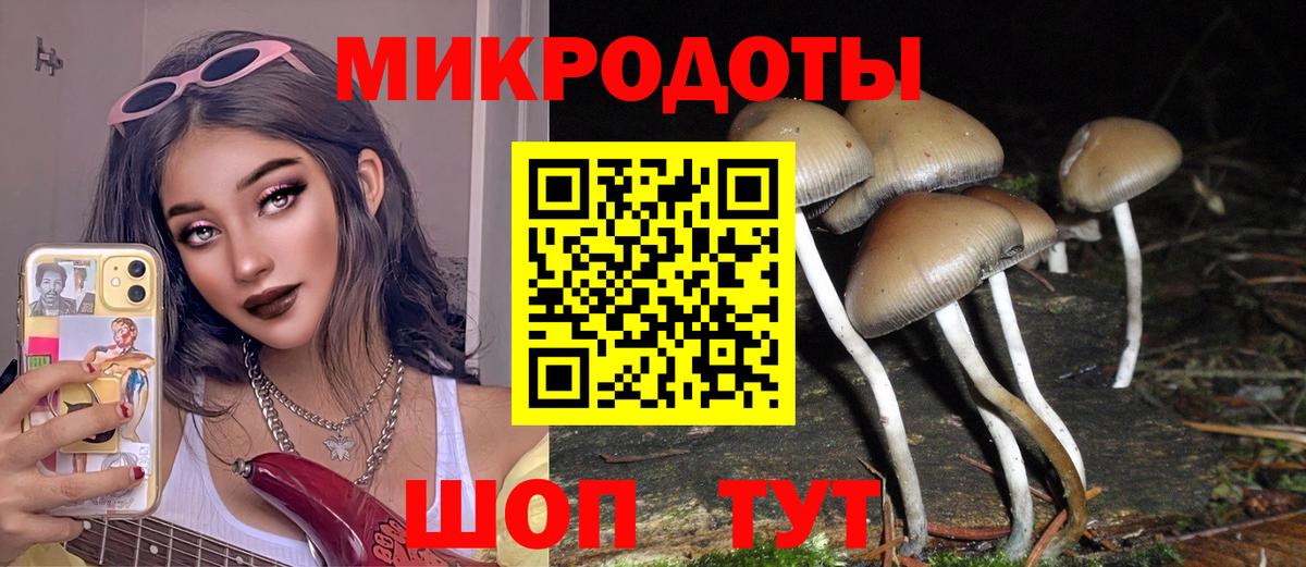 Псилоцибиновые грибы MAGIC MUSHROOMS Анжеро-Судженск